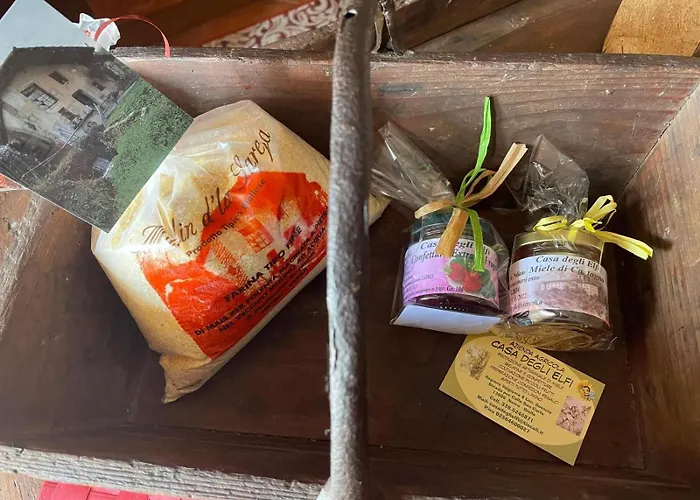 “sut L'ala” Daire Netro