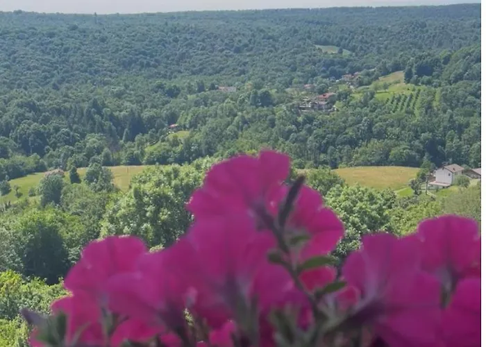 Apartamento “sut L'ala” *